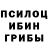 Галлюциногенные грибы ЛСД Dark_F0xx1337