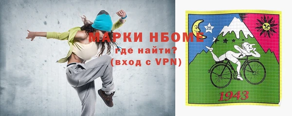 индика Горняк