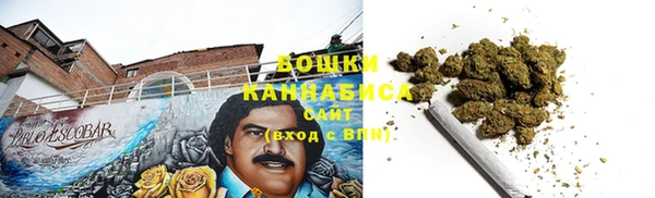 индика Горняк