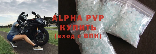 индика Горняк