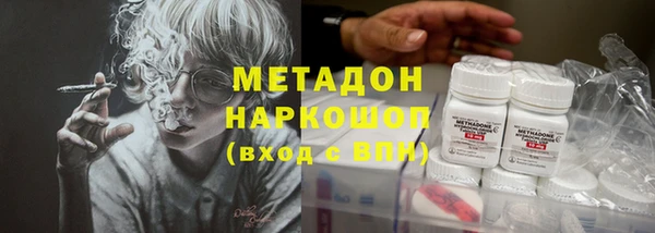 индика Горнозаводск