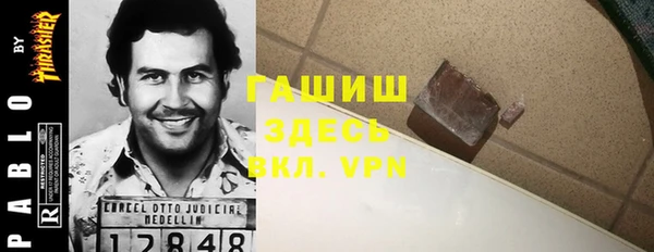 индика Горнозаводск