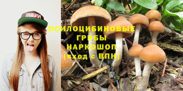 индика Горняк