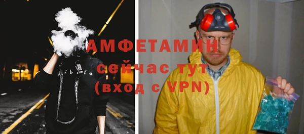 индика Горняк