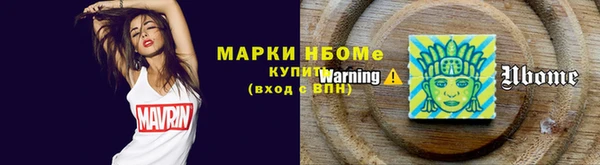 индика Горнозаводск