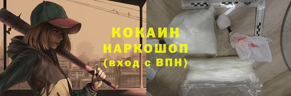 индика Горнозаводск