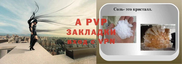 индика Горняк