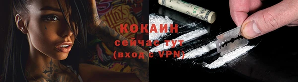 индика Горняк