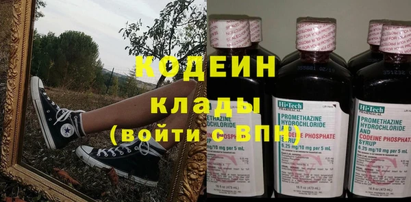 индика Горнозаводск