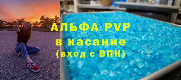 индика Горнозаводск