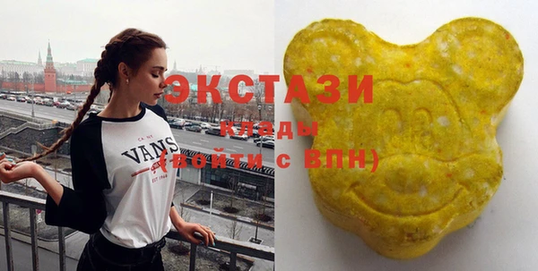 индика Горняк