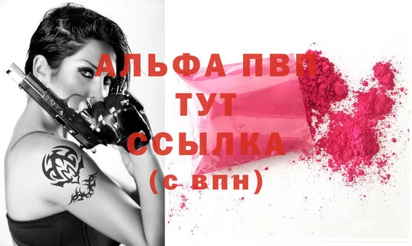 индика Горнозаводск