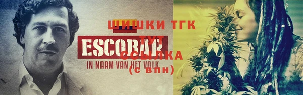 индика Горняк