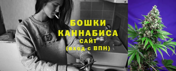 индика Горнозаводск