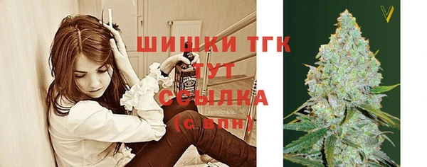 индика Горнозаводск