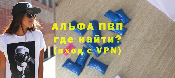 индика Горняк