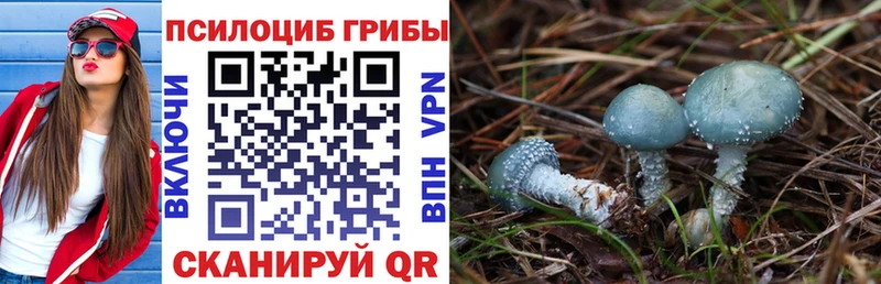 Псилоцибиновые грибы мухоморы  Химки 
